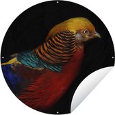 Tuincirkel Vogel - Veren - Zwart - Portret - 60x60 cm - Ronde Tuinposter - Buiten