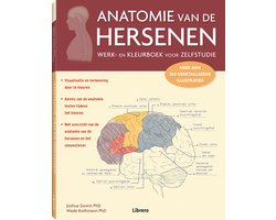 foto van anatomie van de hersenen