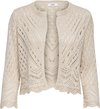 JDY JDYSUN 3/4 CROPPED CARDIGAN KNT NOOS Dames Vest - Maat M