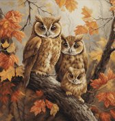 Borduurpakket Luca-S - The Owls Family - De familie Uil - BU5045