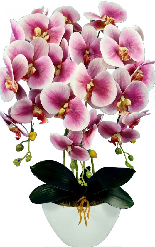 Damich - Kunst Orchidee in Bloempot met 3 stelen - Hoogte 60cm - Roze met Wit