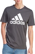 Essentials Big T-shirt Mannen - Maat M