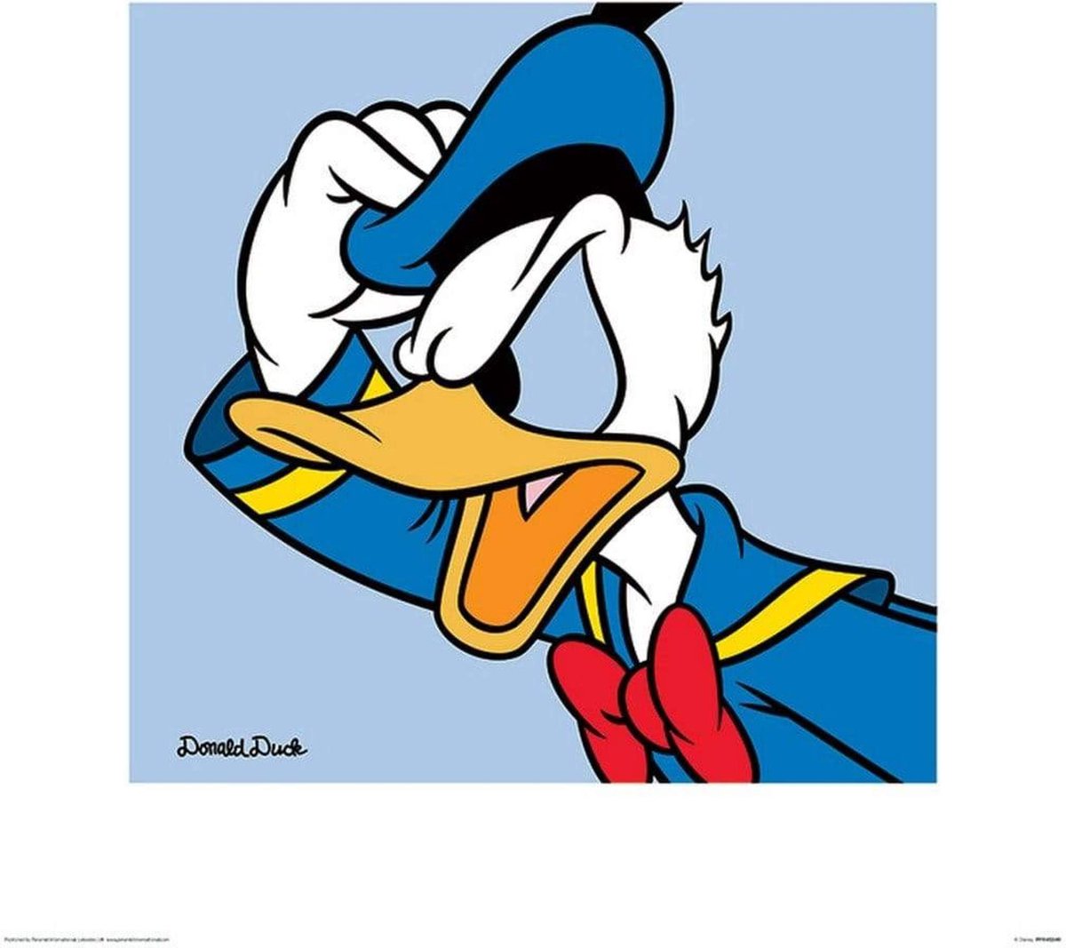 Pyramid Kunstdruk Donald Duck - Blue 40x40cm Divers