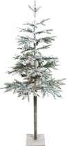 Wintervalley Trees - Kunstkerstboom Gustaf met LED verlichting - 60x120cm - Besneeuwd