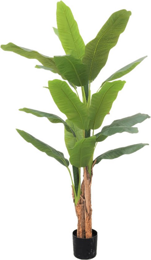 Bananen Kunstplant 180 cm | Bananen Kunstboom | Kunstplanten voor Binnen | Musa Kunstplant | Kunst Bananenboom | Nep Bananenplant