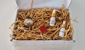 Auto parfum set - Geurclip "Ananas" - X-mas spice, Jasmine