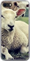 Geschikt voor iPhone SE 2020 hoesje - Schapen - Lam - Gras - Siliconen Telefoonhoesje
