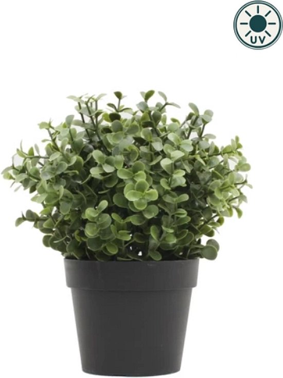 Plante artificielle Buxus vert en pot 19cm UV (pour intérieur et extérieur)