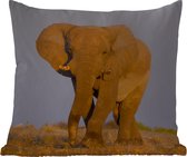 Buitenkussen - Afrikaanse olifant in het zand - 45x45 cm - Weerbestendig