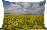 Buitenkussens - Tuin - Zonnebloemen veld fotoprint - 60x40 cm