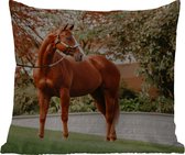 Sierkussen Buiten - Paard - Boom - Halster - 60x60 cm - Weerbestendig