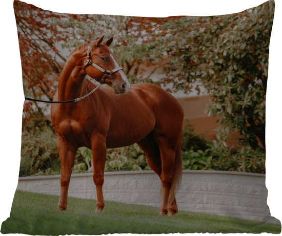 Sierkussen Buiten - Paard - Boom - Halster - 60x60 cm - Weerbestendig