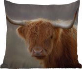 Buitenkussen - Schotse hooglander - Licht - Portret - 45x45 cm - Weerbestendig