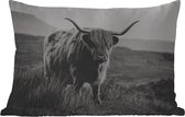 Buitenkussens - Tuin - Schotse hooglander - Natuur - Koeien - Dieren - Zwart wit - 50x30 cm