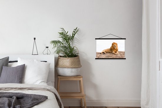 Affiche textielposter Lion couché 60x40 cm