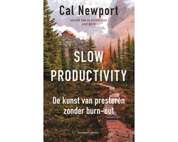 Omslag van Slow productivity