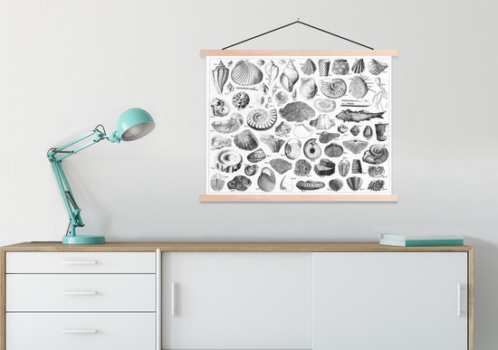 Illustrations de fossiles de différentes époques affiche textielposter lamelles vierge 60x45 cm