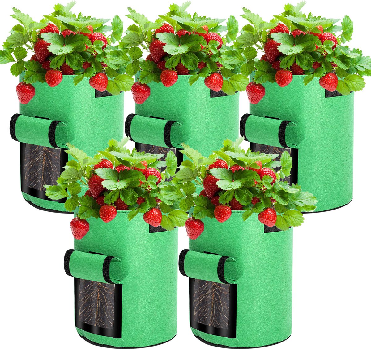 5x Kweekzak voor aardappelen wortels en tomaten aardappel wortel kweekzak 35×40CM Groeizak Plantenzak Aardappelzak Wortelzak Groenten zelf kweken Binnen kweekpot kweekbak