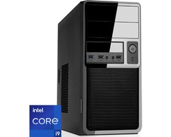 Intel Desktop PC met Core i9 12900K - 64GB RAM - 2000GB NVMe M.2 SSD - WiFi - Bluetooth - Windows 11 Pro (DT-373428)