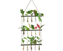DWIH - Stekstation - Stek station vaasjes - Stekjes - Stekken - Planten stekken - Stek vaasjes - Stek glaasjes - Steklab - Reageerbuisjes - Inclusief 15 buisjes - Ophangbaar - Hout - Glas - Bruin