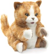 Oranjebruin Kitten - Handpop