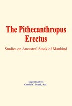 The Pithecanthropus Erectus