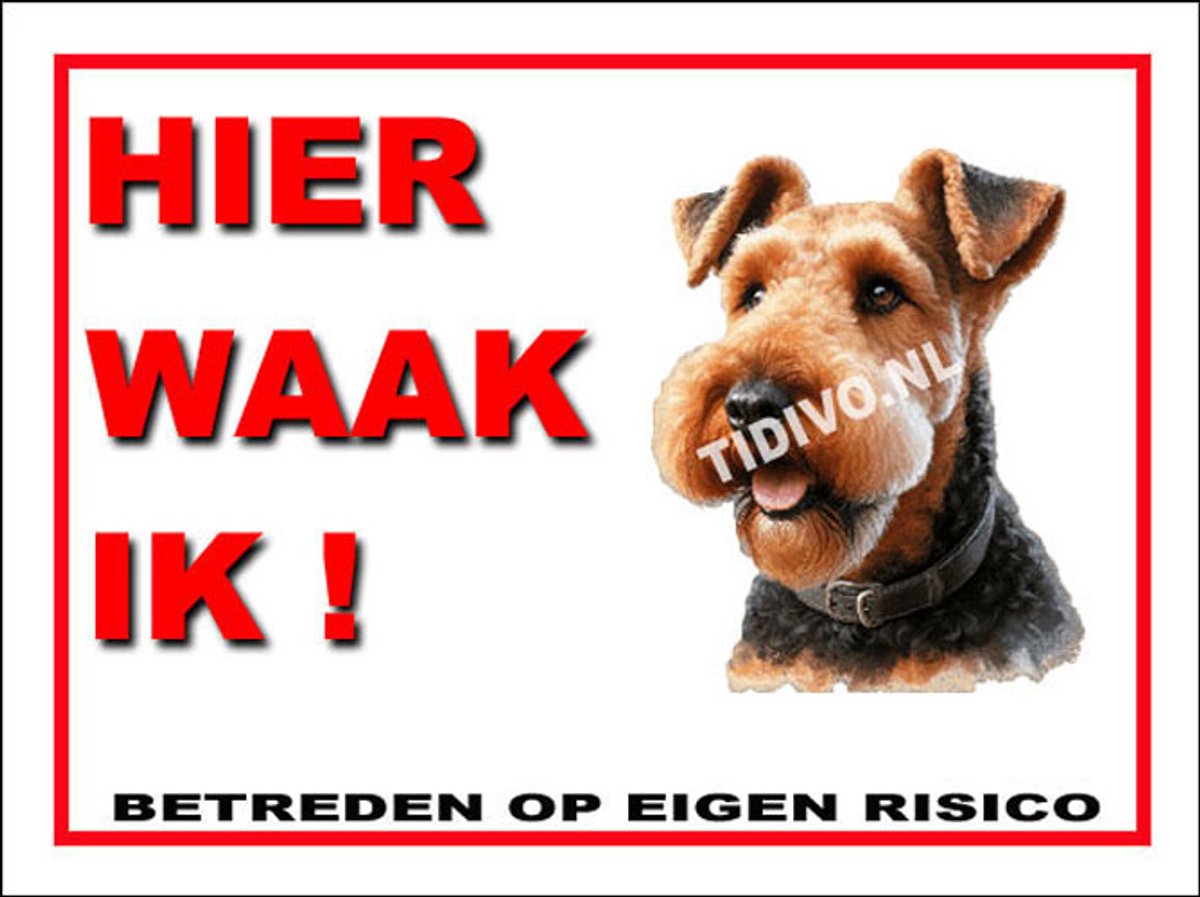 Airedale Terrier 3