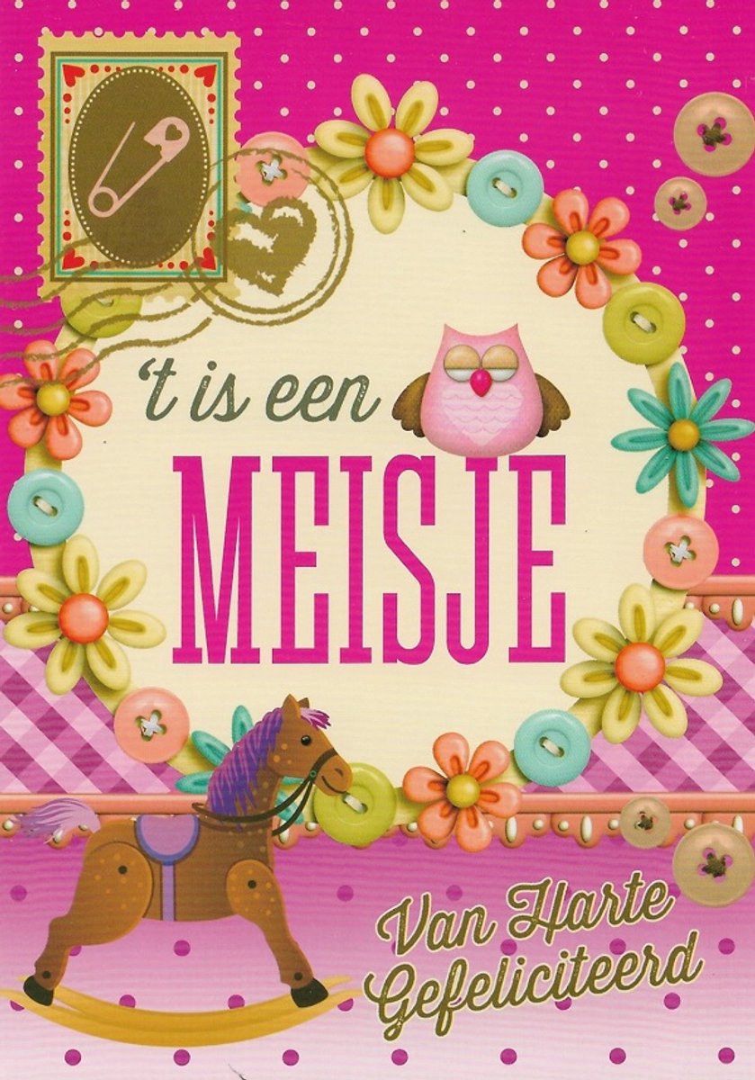'T is een meisje! Gefeliciteerd! Een kleurrijke kaart met een afbeelding van een hobbelpaard en bloemen. Leuk om zo te geven of om bij een cadeau te voegen. Een dubbele wenskaart inclusief envelop en in folie verpakt.