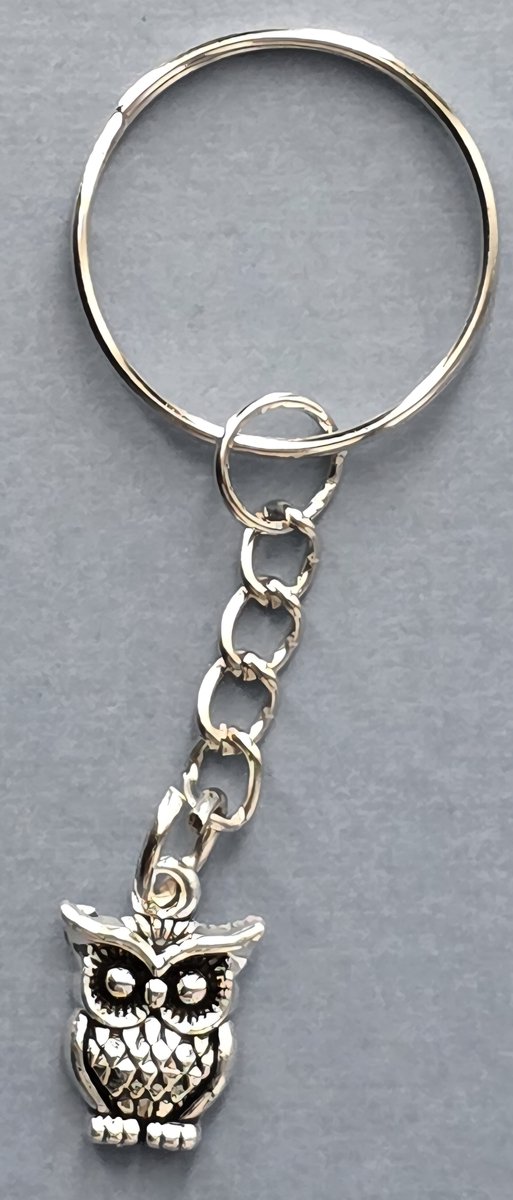 uil sleutelhanger