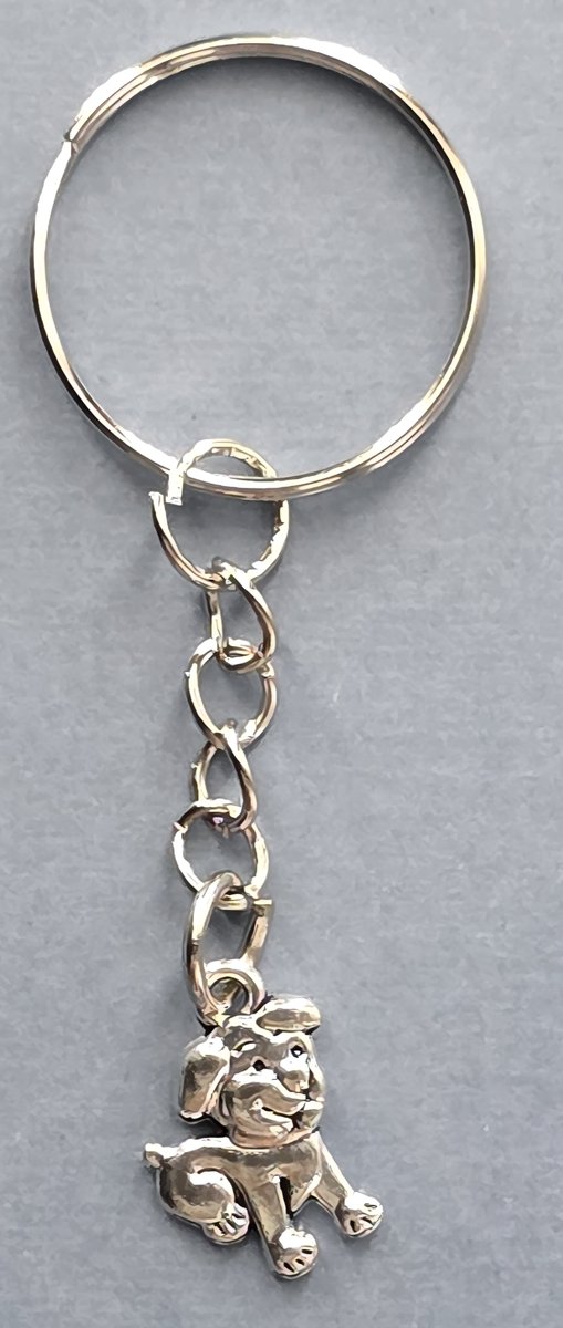 hond sleutelhanger
