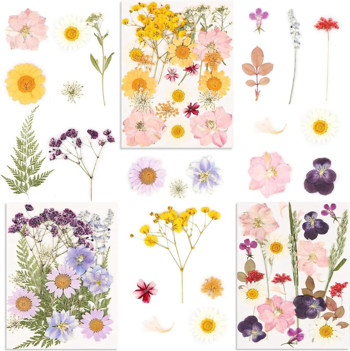 Allecto Plus - Natuurlijke gedroogde bloemen set voor doe-het-zelf decoratie en kunsthandwerk met kaarsen - Vaas vulling en scrapbooking bloemblaadjes