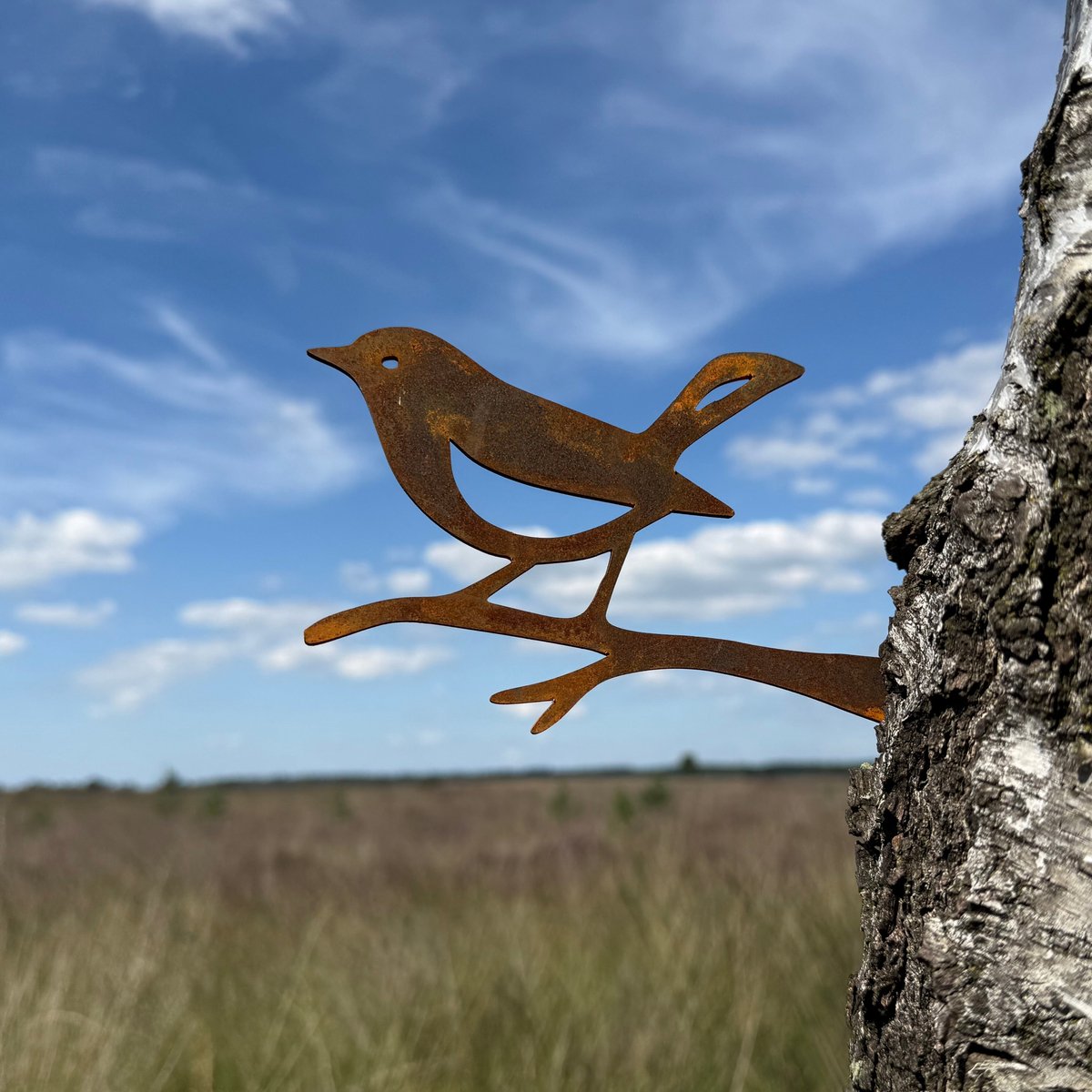 Tuinvorm GORGE - CORTENSTAAL - Metalbird - Vogel