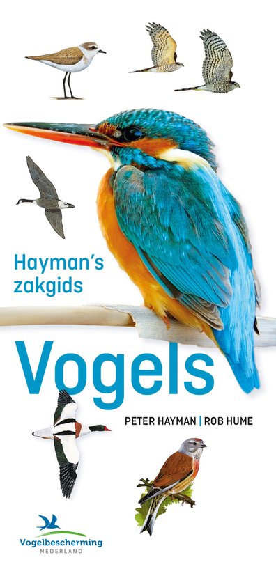Hayman's zakgids Vogels - cover