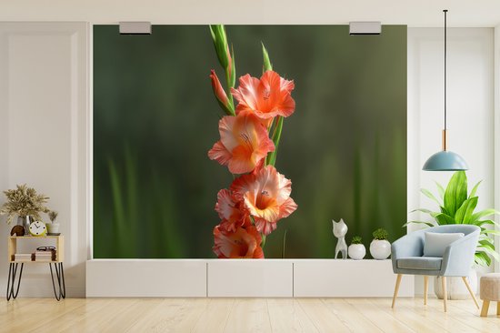Behang - Fotobehang Bloem - Gladiolen - Zalmroze - Breedte 350 cm x hoogte 260 cm