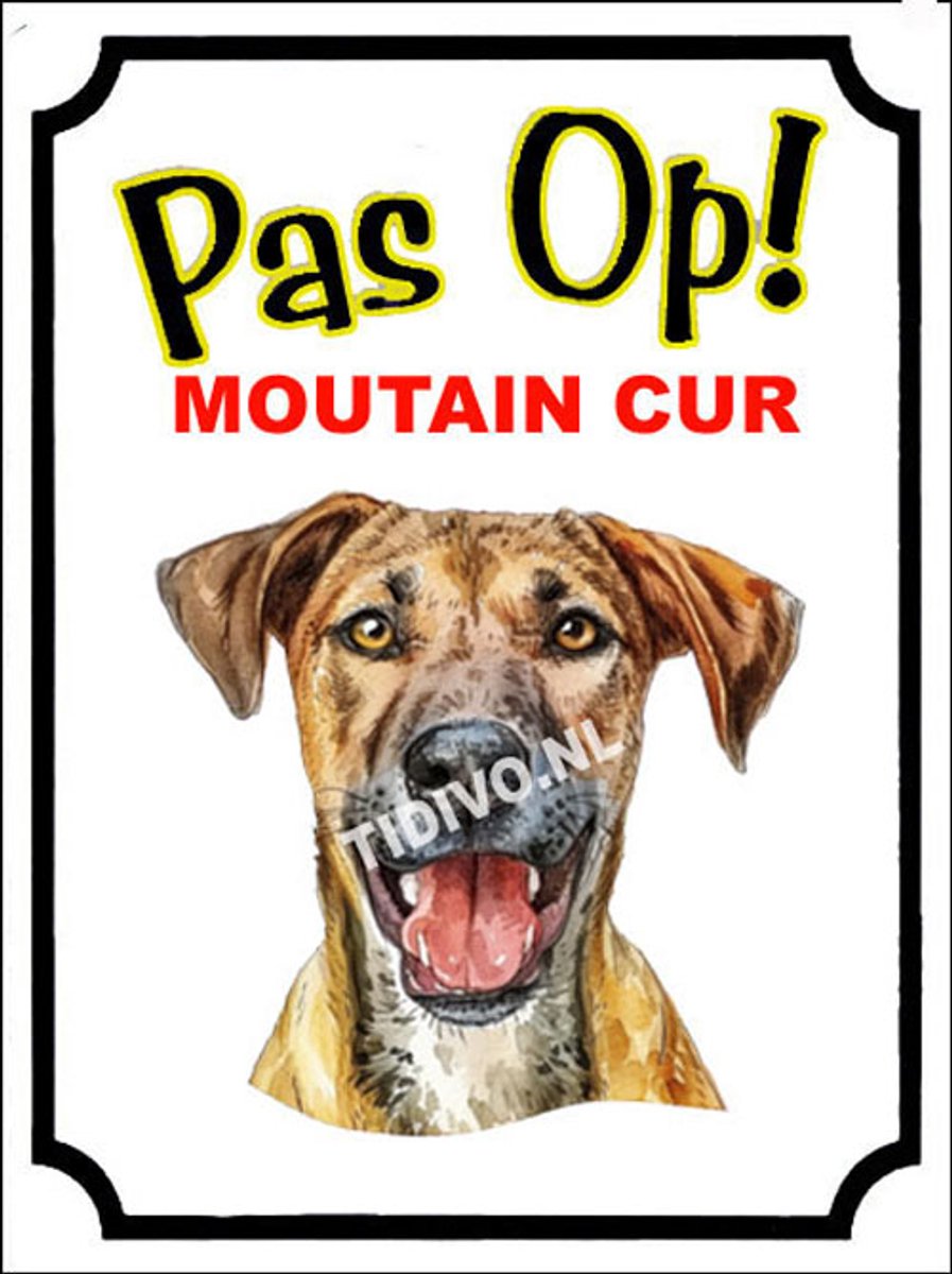 Mountain Cur 16