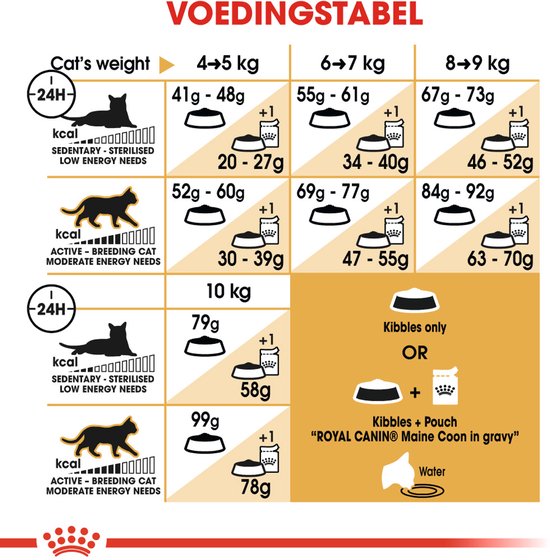 Voedingstabel voor Royal Canin Maine Coon kattenvoer, met aanbevelingen op basis van gewicht en activiteit.