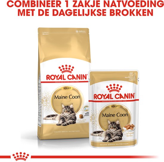 Een grote zak Royal Canin Maine Coon droogvoer en een kleine zak Royal Canin Maine Coon natvoer.