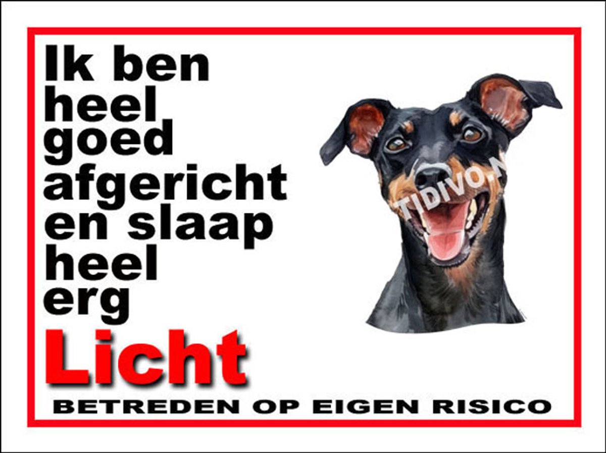 Manchester Terrier 4