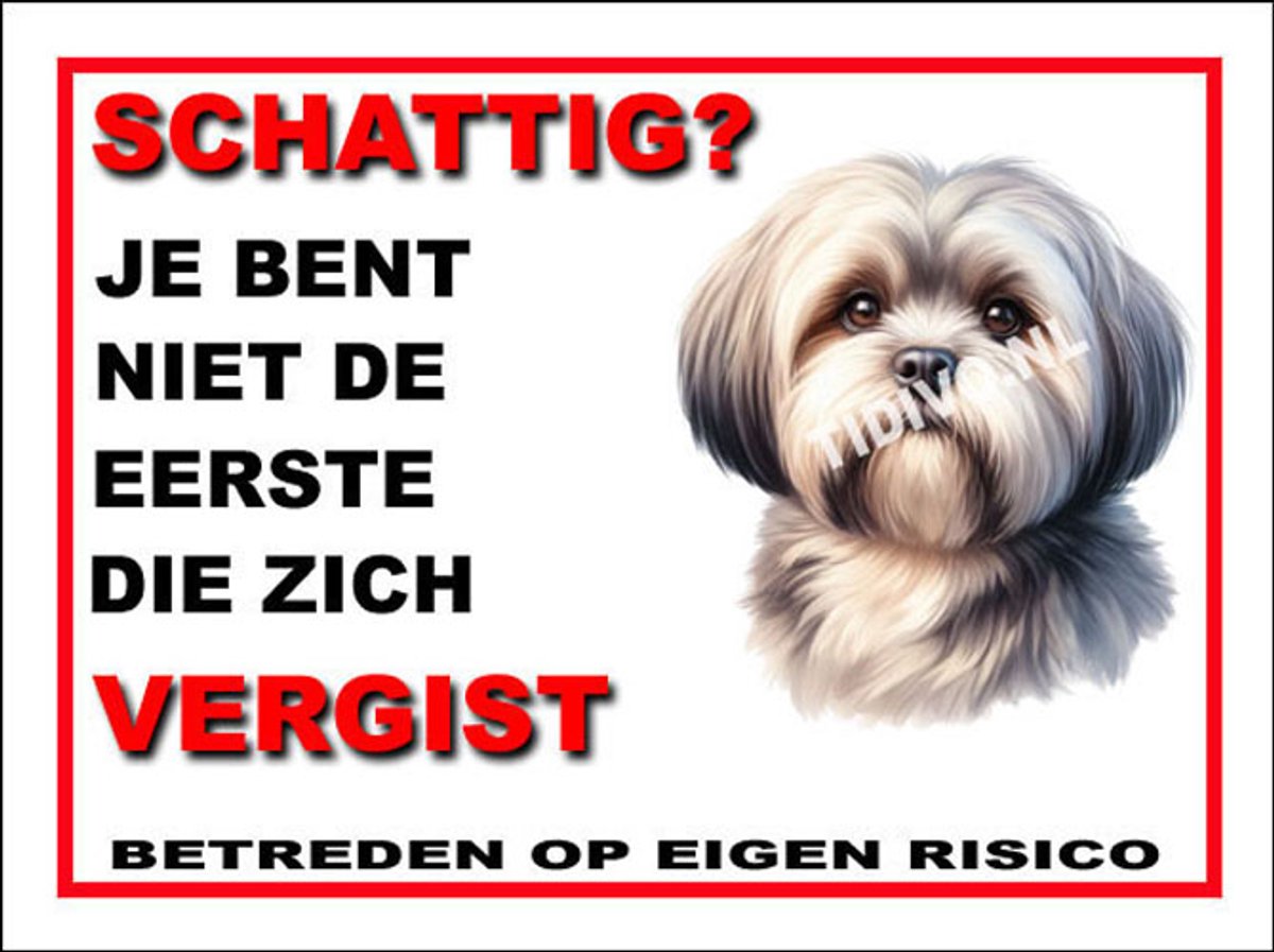 Lhasa Apso 14