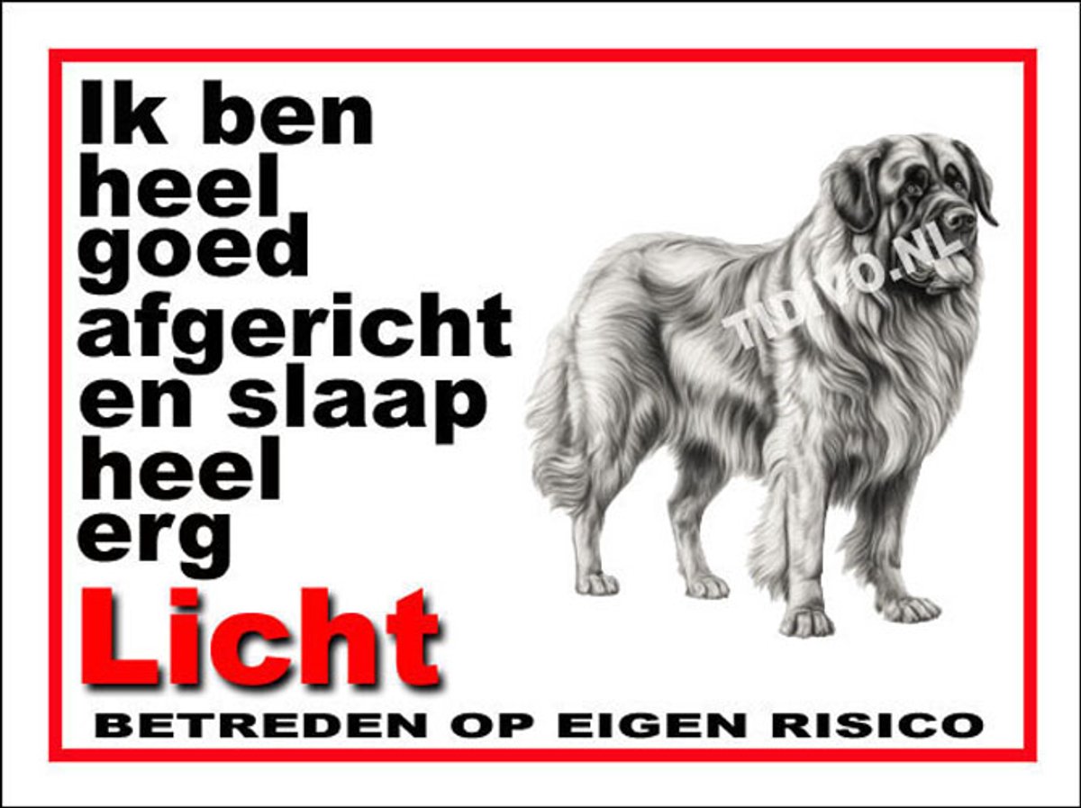 Leonberger 4