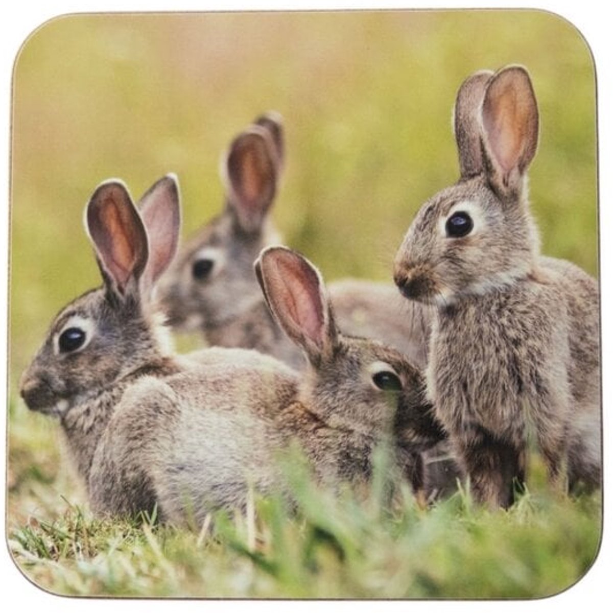 Mars & More Onderzetters – Konijnenfamilie (Set van 6, 10x10cm)
