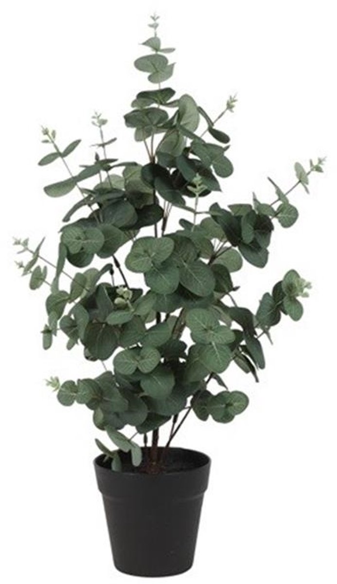 Countryfield Kunstplant Eucalyptus Groen 65 cm – Kunsttak Eucalyptus – Onderhoudsvrije Woondecoratie