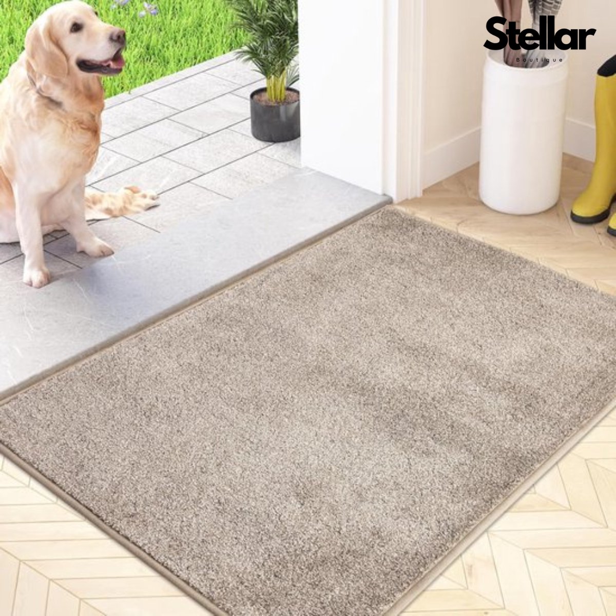 Deurmat - Voetmat - Hond - Geschikt Voor Wasmachine - Water Absorberend - Microvezels - Antislip - 50x80 cm