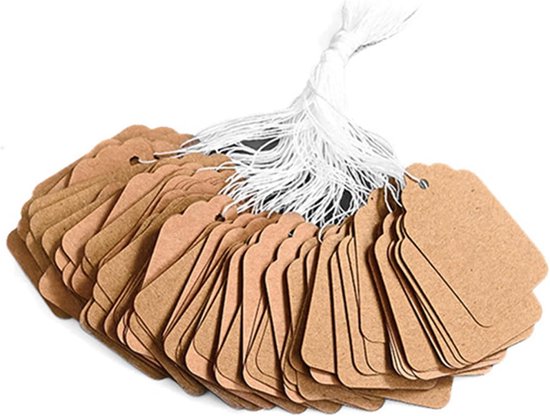 SNQ Kraft Karton Labels - 300 Stuks - Kartonnen Labels - 15 x 25 mm - Kartonnen Etiketten - Cadeaulabel - Prijskaartjes met touw - Beschrijfbare Hangende labels - met Gaatje en Koord - Kraftpapier