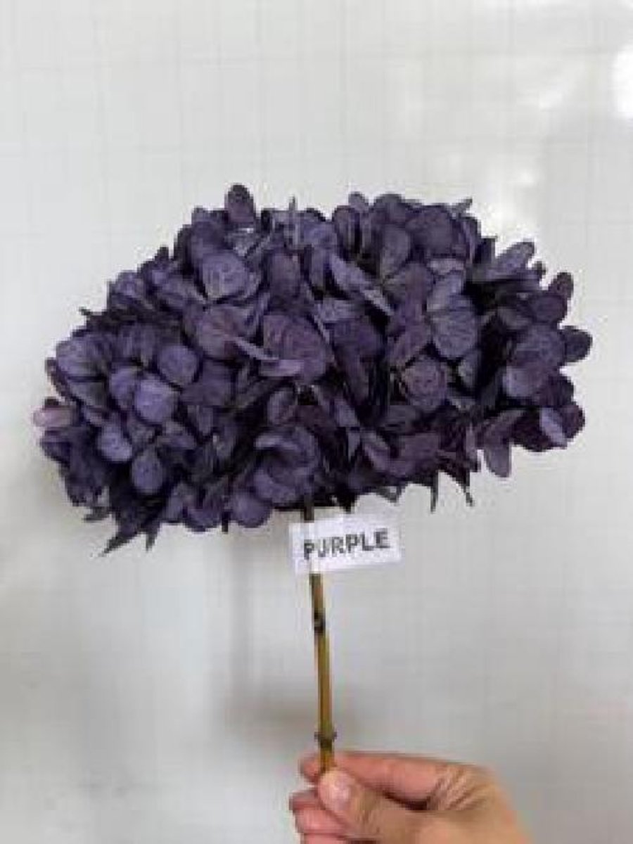 1x Dc pres.hydr.purple