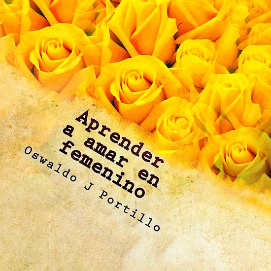 Aprender a amar en femenino - cover