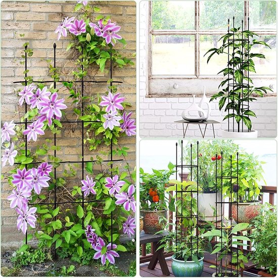 Klikhulp tuin klimhulp voor kamerplanten rozen tomaten clematis