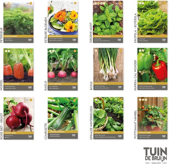 Zadenpakket - 12 kruiden- en groentezaden - essentiële soorten voor de moestuin - tomaat, sla, radijs, wortel, munt en meer