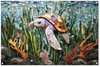Schildpad - Zeewier