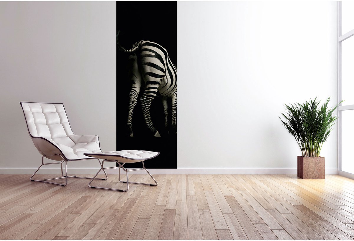 Fotobehang Zebra DD116079 A.S. Création XXL 5 | Fotobehang online webshop